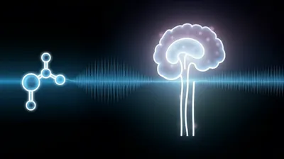 Illustration primers - Image 1