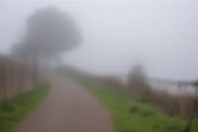 Illustration fog - Image 1