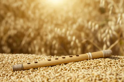 Illustration oats - Image 1