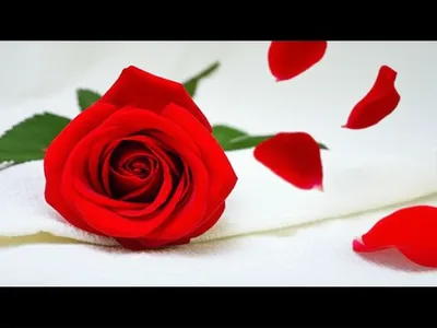 Illustration starts - Image 1