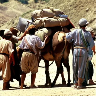 Illustration pack - Image 1