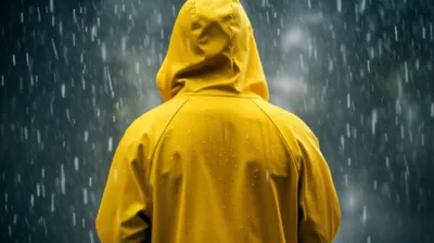 Illustration slicker - Image 1