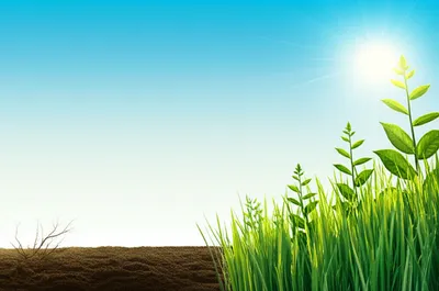 Illustration betterment