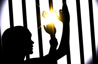 Illustration throws - Image 1