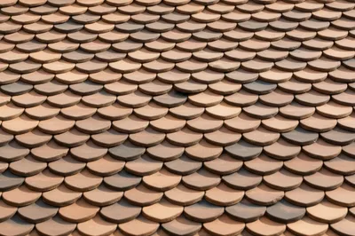 Illustration imbricate