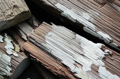 Illustration punk - Image 1