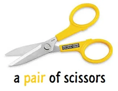 Illustration pair - Image 2