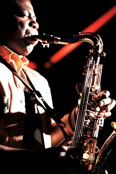 Illustration chops - Image 1