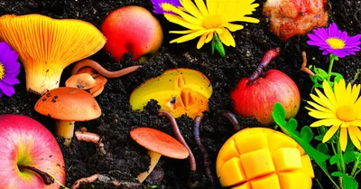 Illustration funky - Image 1