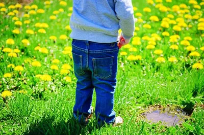 Illustration tinkling - Image 1