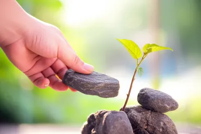 Illustration uplifted - Image 1