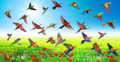 Illustration lofts - Image 1