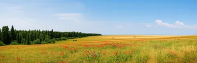 Illustration parklands - Image 1