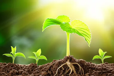 Illustration accrues - Image 1