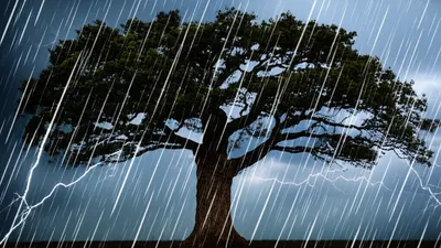 Illustration bulletproof - Image 1