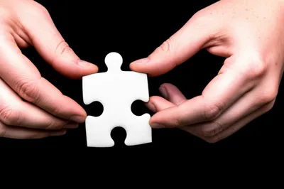 Illustration settle - Image 1