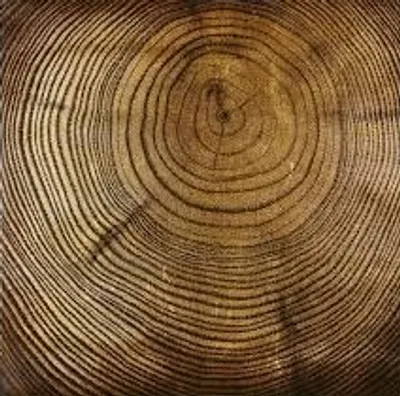 Illustration grain - Image 2