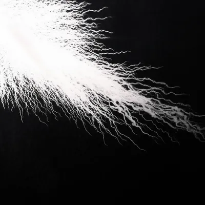 Illustration spends - Image 1