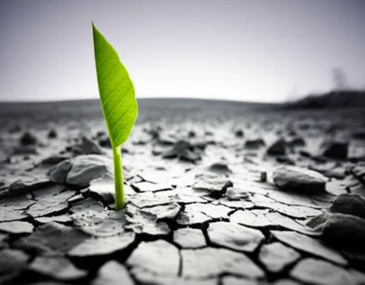 Illustration withers - Image 1