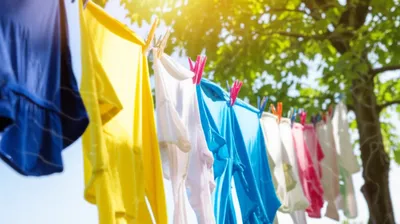 Illustration drying - Image 1