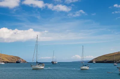 Illustration roadstead - Image 1