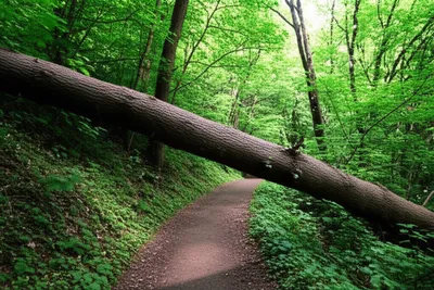 Illustration hiatus - Image 1