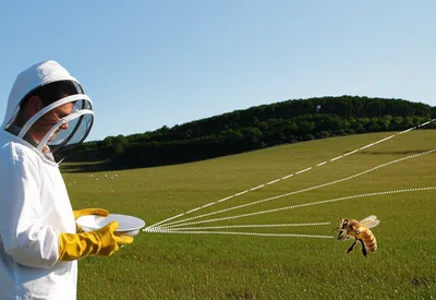 Illustration lining - Image 1