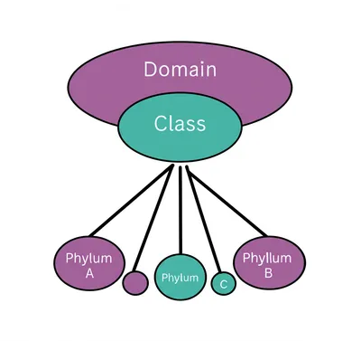 Illustration kingdom - Image 1