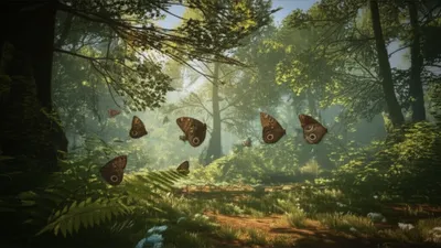 Illustration forester - Image 1