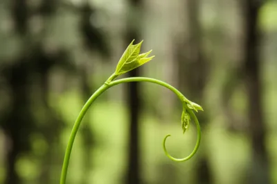 Illustration bends - Image 1