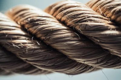 Illustration lays - Image 1