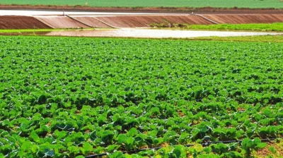 Illustration slurry - Image 1