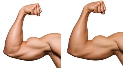 Illustration health - Image 1