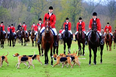 Illustration meet - Image 1