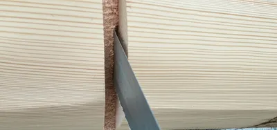 Illustration sawn - Image 1