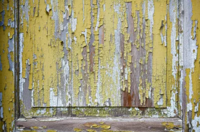 Illustration scabby - Image 1