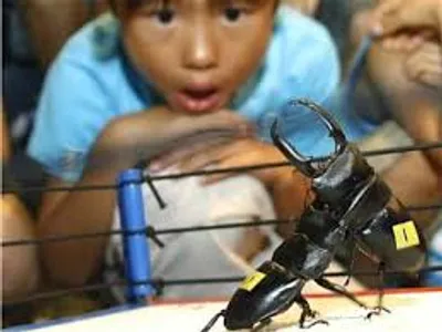 Illustration enthralling - Image 2