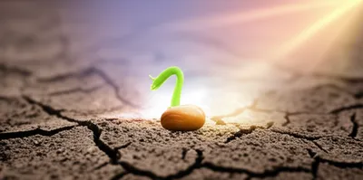 Illustration came - Image 1