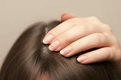 Illustration excrement - Image 1