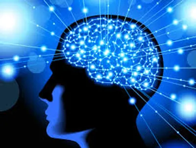 Illustration intelligent - Image 2