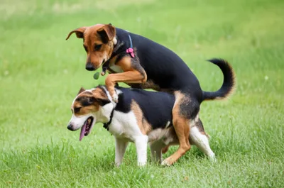 Illustration lined - Image 1