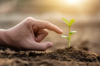 Illustration china - Image 1