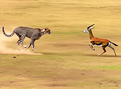 Illustration gained - Image 1