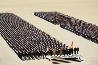 Illustration parade - Image 1