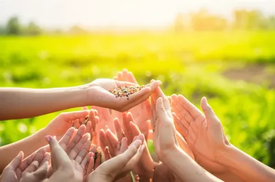 Illustration openhanded - Image 1