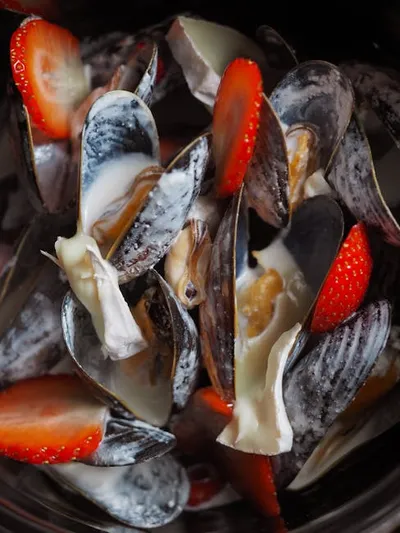 Illustration bivalves - Image 2