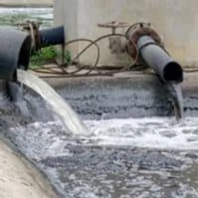 Illustration defile - Image 2