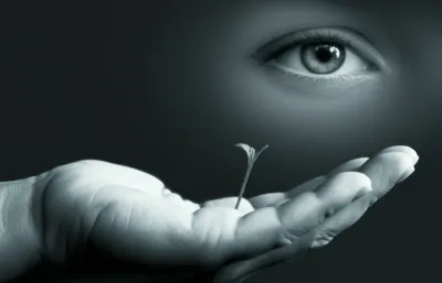 Illustration care - Image 1