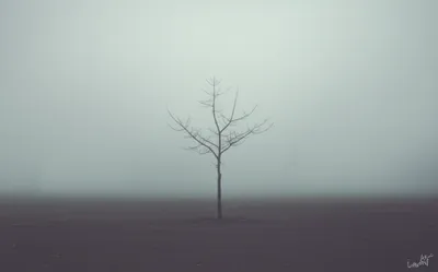 Illustration clouds - Image 1