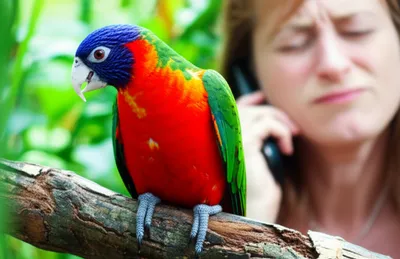 Illustration persisting - Image 1